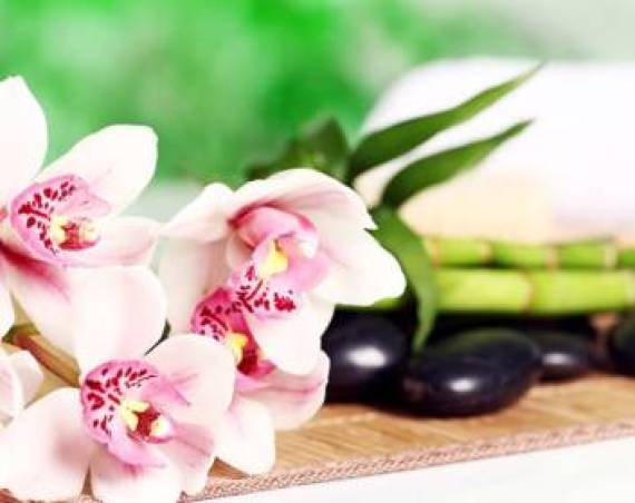 Découvrez le massage au bambou à Neuchâtel avec Olistik